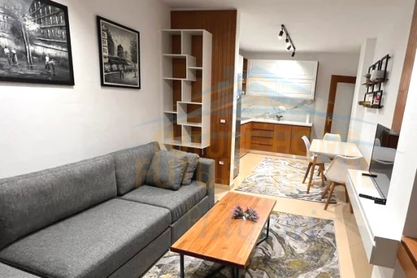 Shtepi me qera Apartament ne Tirane, 1+1, Mobilimi E mobiluar, Pagesa 550  Euro.