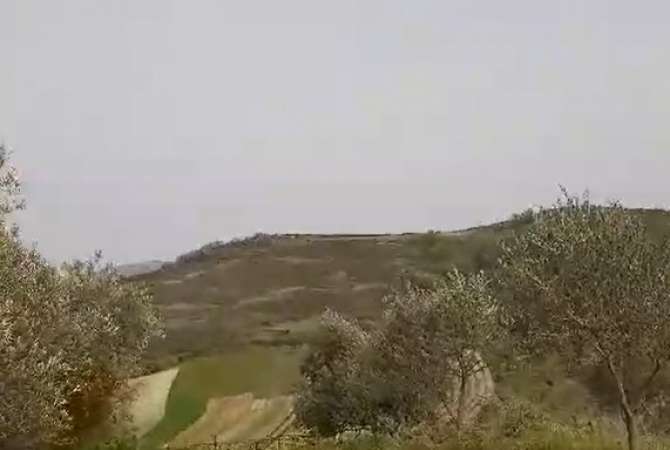Truall ose Toke ne Vlore - 3,000,000 Leke