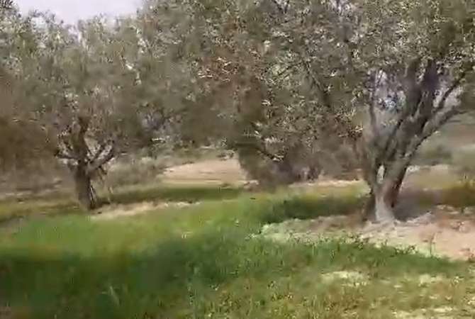 Toke bujqesore me mundesi kthimi ne Truall 30milion lek....