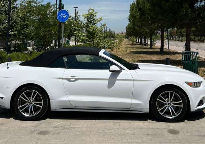 Car Rental  in Tirana - 260 Euro