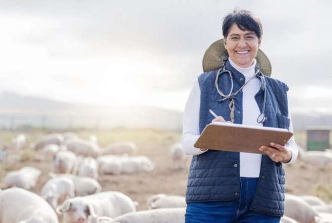 Job Offers Specialist, Sektori Rural Drejtoria e Përgjithshme