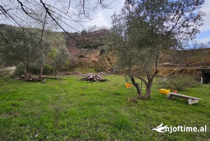 Terreno in vendita  a Tirana - 500,000 Euro