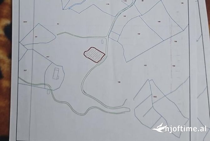 Shitet toke Ngjit me kompleksin kodra diellit 2