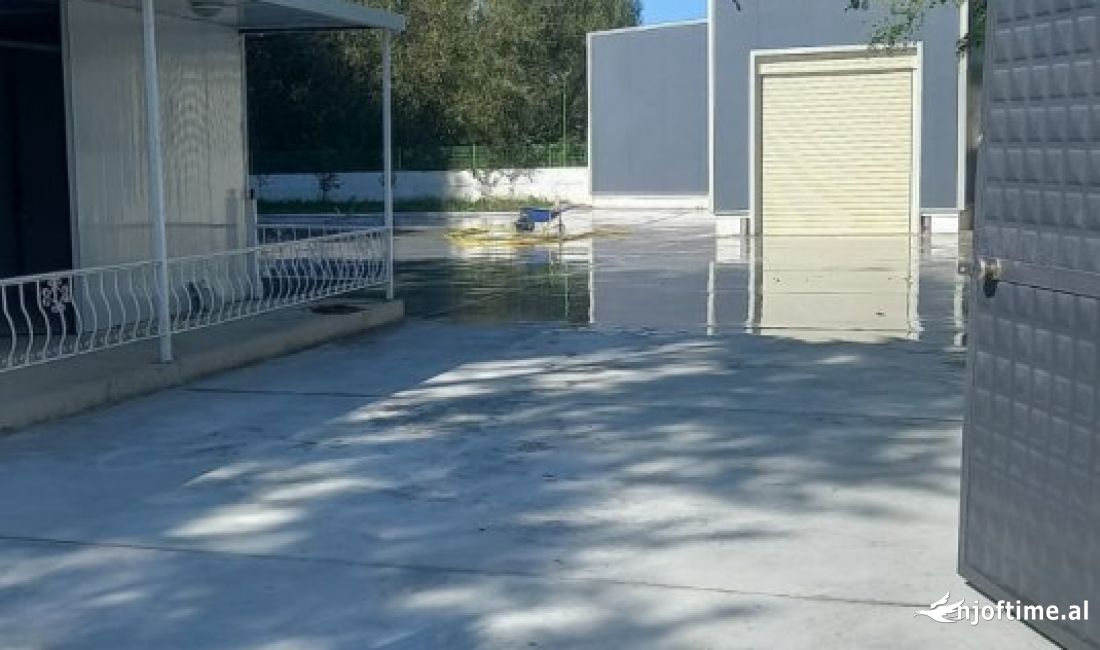 Foto 6