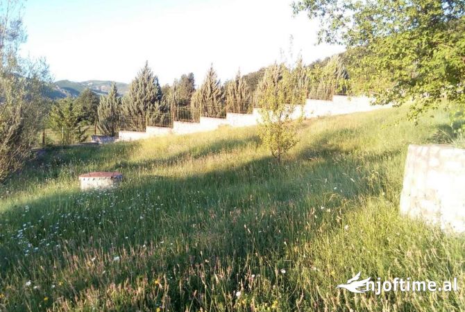 Shitet Toke panoramike ne Pez Helmes