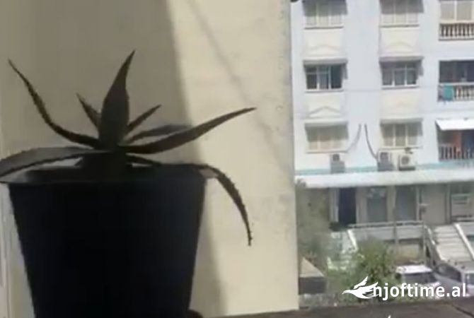 Shtepi me qera 2+1 ne Tirane - 35,000 Leke