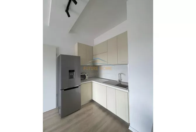 Shtepi me qera Apartament ne Tirane, 1+1, Mobilimi E mobiluar, Pagesa 550  Euro.