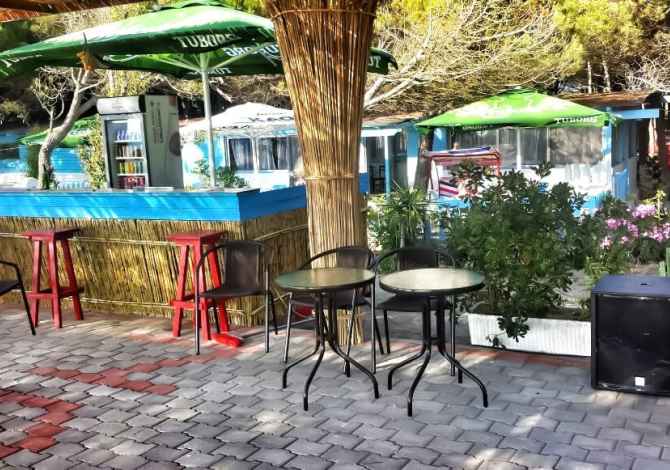 Ambient biznesi ne shitje 2+1 ne Kavaje - 100,000 Euro