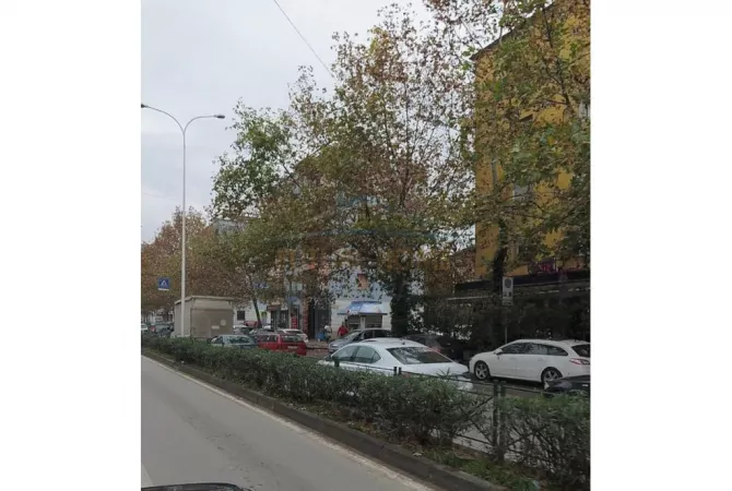 Ambient biznesi ne shitje 1+1 ne Tirane - 410,000 Euro