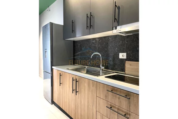 Shtepi me qera Apartament ne Tirane, 1+1, Mobilimi E mobiluar, Pagesa 500  Euro.