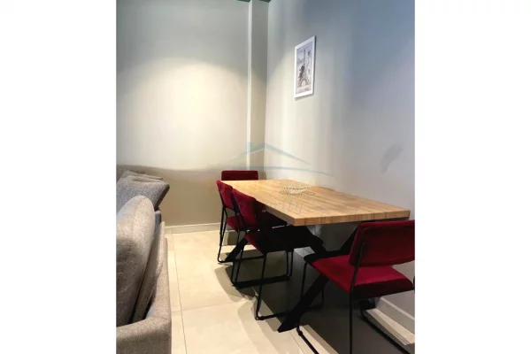 Shtepi me qera Apartament ne Tirane, 1+1, Mobilimi E mobiluar, Pagesa 500  Euro.