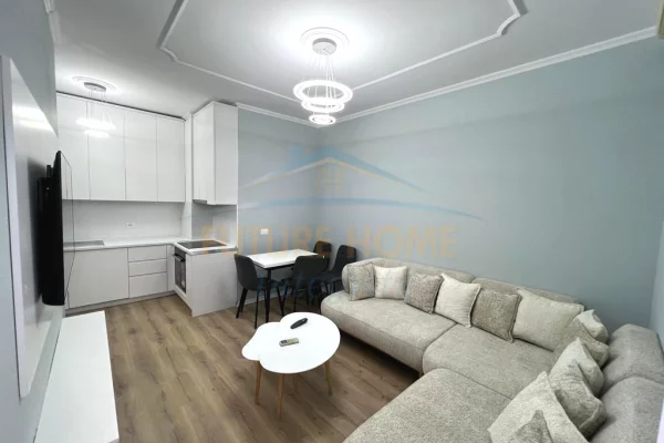 House for Rent 1+1 in Tirana - 60,000 Leke