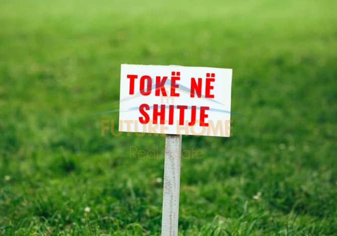 Truall ose Toke  ne Tirane - 420,000 Euro