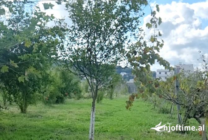 Truall ose Toke  ne Tirane - 730,000 Euro