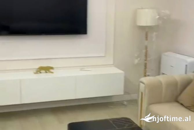 Shtepi me qera 2+1 ne Tirane - 550 Euro