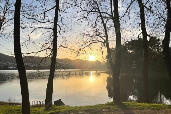 Shtepi ne shitje 2+1 ne Tirane - 237,000 Euro