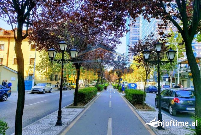 Ambient biznesi me qera 1+1 ne Tirane - 2,000 Euro