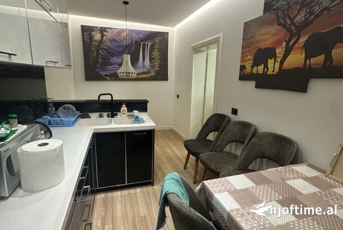 Shtepi me qera 1+1 ne Tirane - 450 Euro