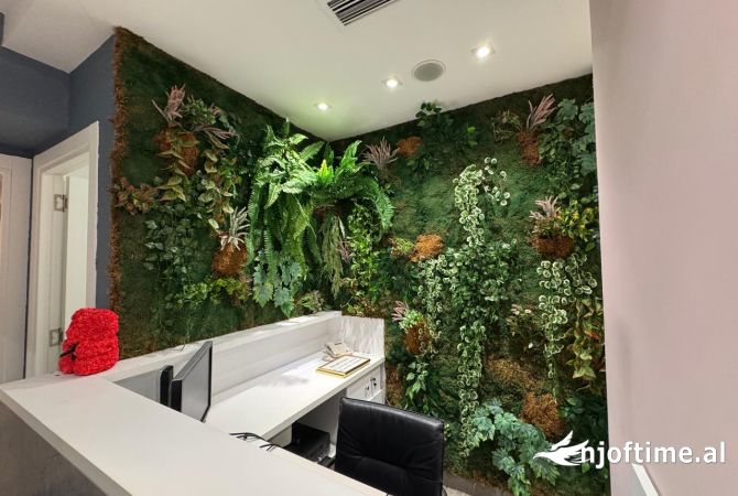 Ambient klinike estetike dhe parukeri, Petro Nini