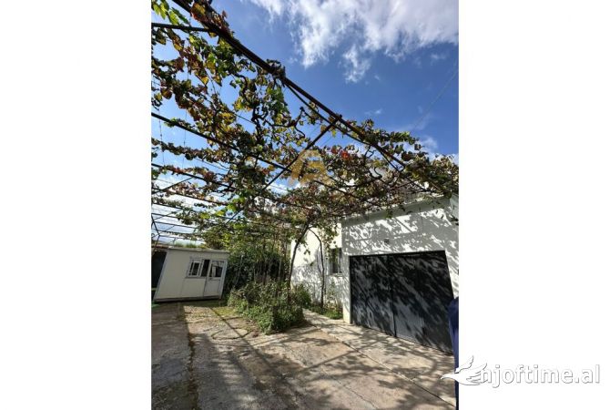 Ambient biznesi ne shitje 1+1 ne Tirane - 2,500,000 Euro