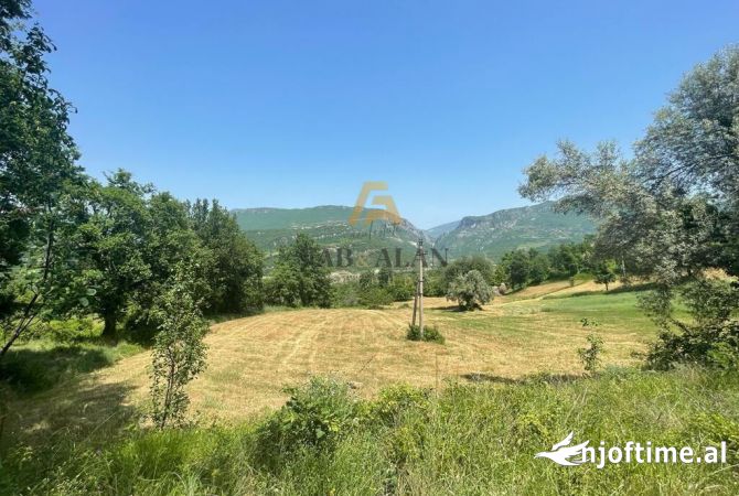 Truall ose Toke ne Tirane - 38,700 Euro
