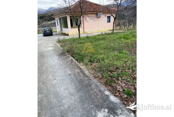 Truall ose Toke ne Tirane - 320,000 Euro