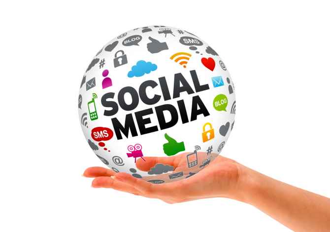 IT and Marketing Services in Tirana - 100 Dollar