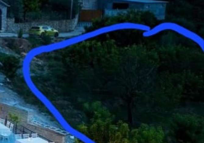 Truall ose Toke  ne Berat - 80,000 Euro