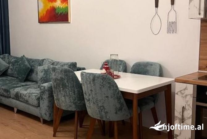 Shtepi me qera 1+1 ne Tirane - 500 Euro