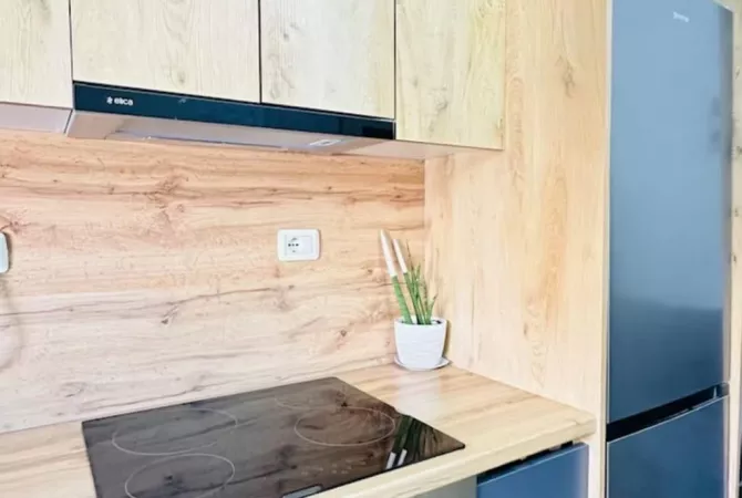 Apartment for rent in Tirana 1+1, Furnished