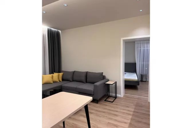 Shtepi ne shitje Apartament ne Tirane, 1+1, Mobilimi E mobiluar, Pagesa 100,000  Euro.