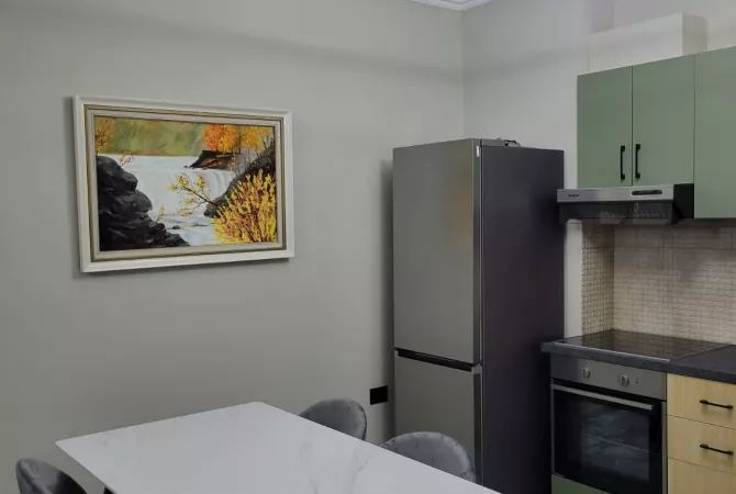 Shtepi me qera Apartament ne Tirane, 1+1, Mobilimi E mobiluar, Pagesa 450  Euro.