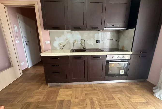 Shtepi me qera Apartament ne Tirane, 1+1, Mobilimi E mobiluar, Pagesa 600  Euro.