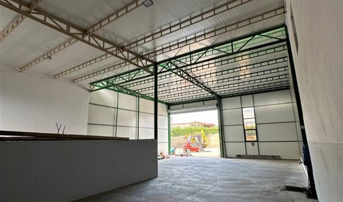 Foto 5