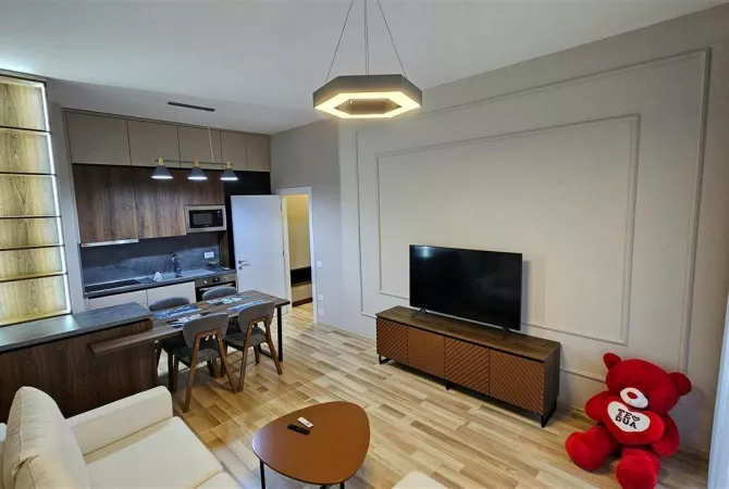 Shtepi me qera Apartament ne Tirane, 1+1, Mobilimi E mobiluar, Pagesa 699  Euro.