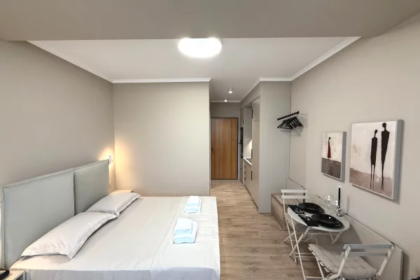 Shtepi ne shitje Apartament ne Tirane, Garsoniere, Mobilimi E mobiluar, Pagesa 100,000  Euro.
