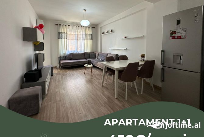 Shtepi me qera 1+1 ne Tirane - 450 Euro