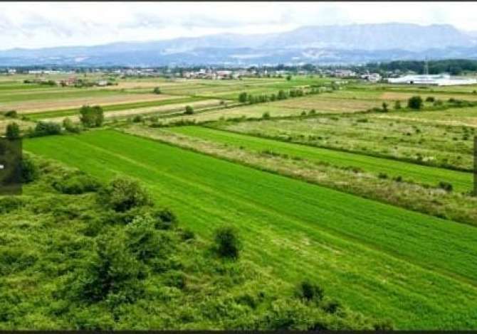 Truall ose Toke  ne Tirane - 500,000 Euro