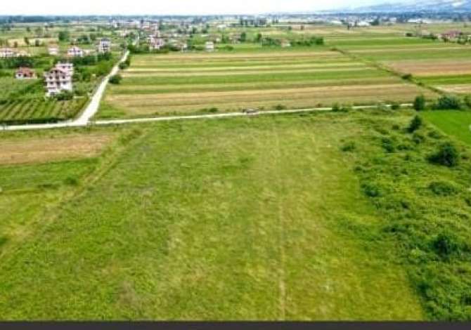 Truall ose Toke  ne Tirane - 500,000 Euro