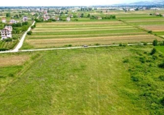 Truall ose Toke  ne Tirane - 500,000 Euro