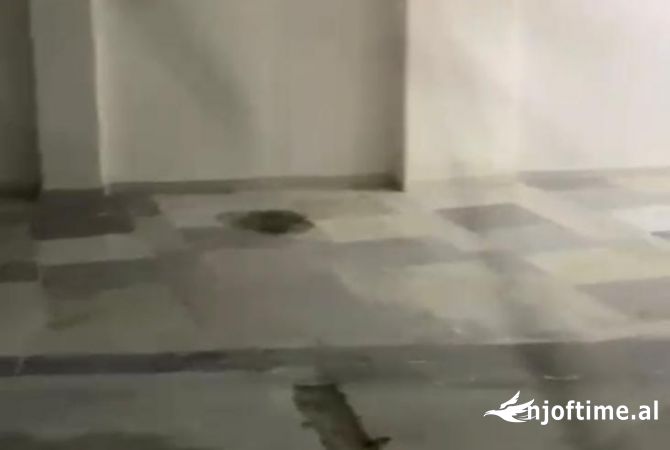Ambient biznesi me qera 4+1 ne Tirane - 130 Euro