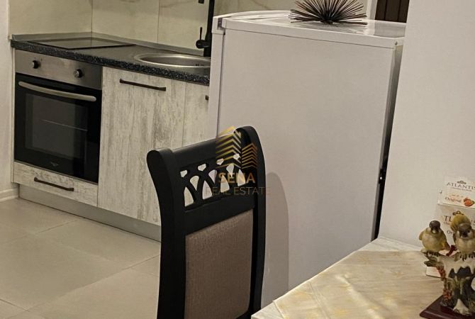 Shtepi me qera 1+1 ne Tirane - 390 Euro