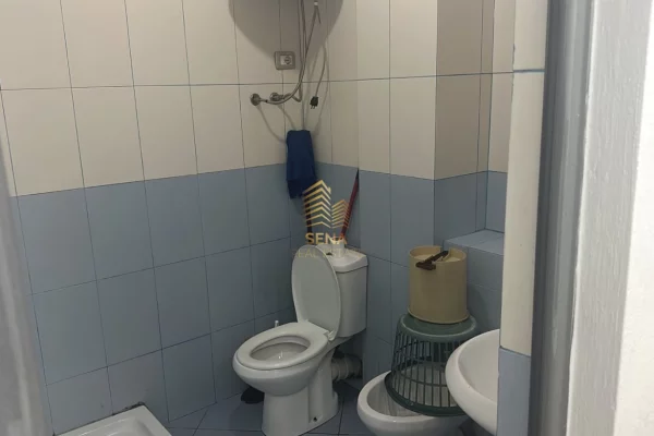 Shtepi me qera 1+1 ne Tirane - 350 Euro