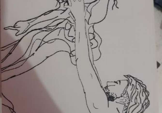 Shes libra te perdorur ne gjendje shume te mire! Librat shiten me gjysmen e cmimit real! 