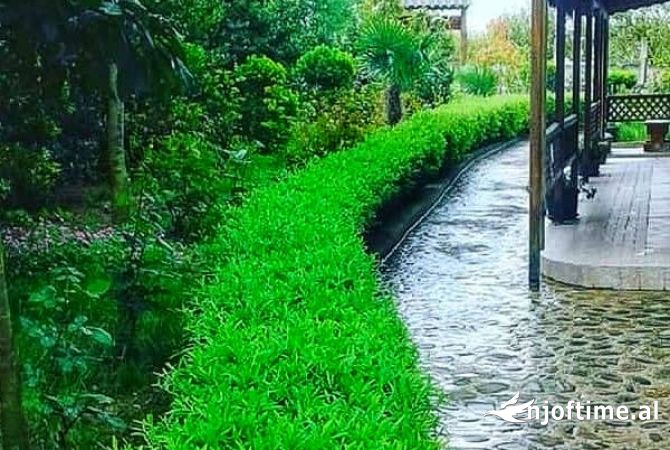 Ambient biznesi ne shitje 5+1 ne Tirane - 400,000 Euro