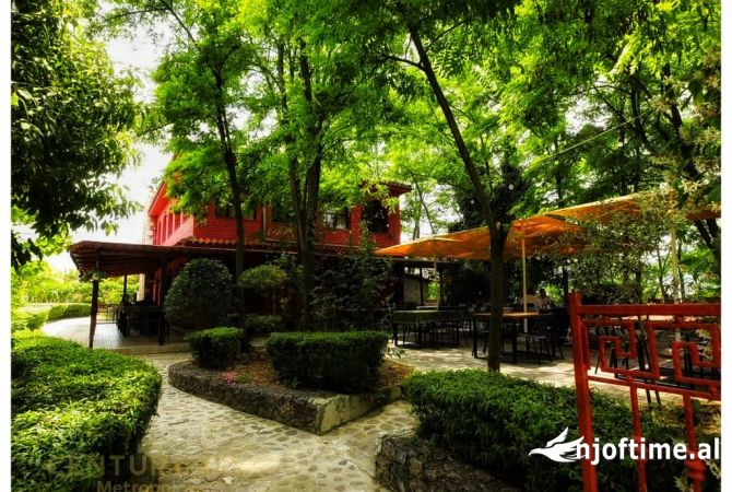 Ambient biznesi ne shitje 5+1 ne Tirane - 400,000 Euro