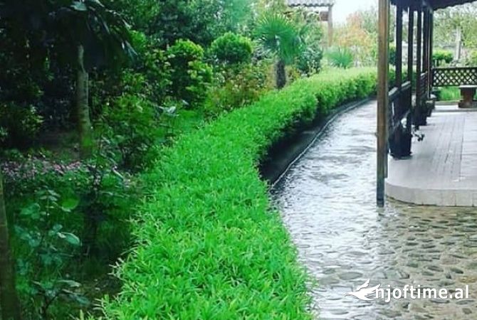Ambient biznesi ne shitje 2+1 ne Tirane - 400,000 Euro