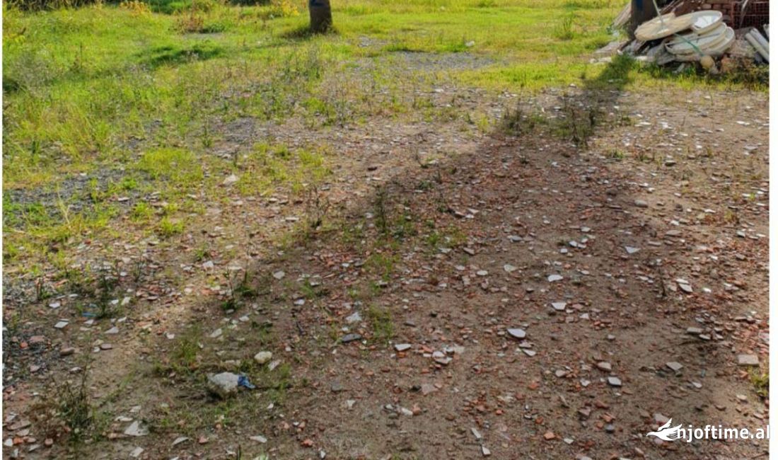 Foto 1