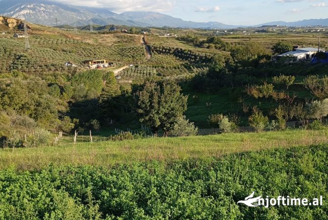 Truall ose Toke  ne Tirane - 21,500,000 Leke