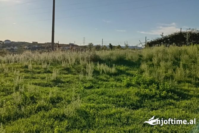 Toke ne Shitje ne Kamez.